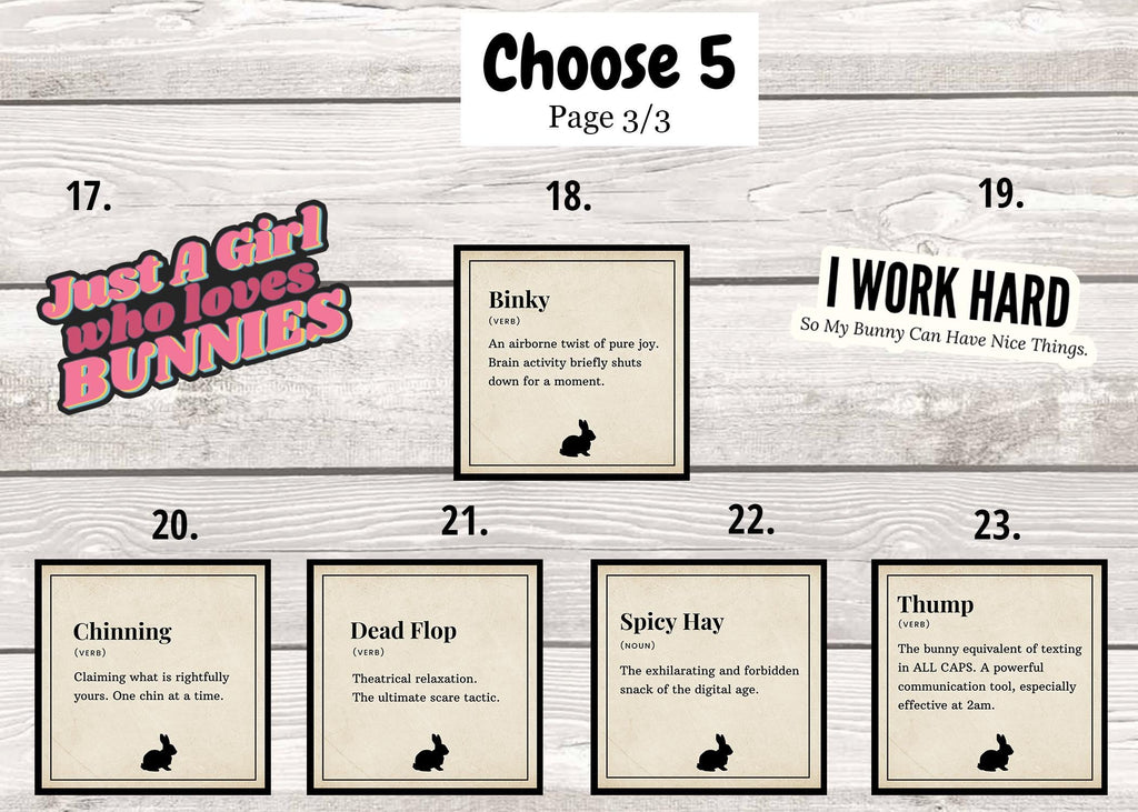 5-Pack Bunny Stickers: 5 Waterproof Rabbit Decals