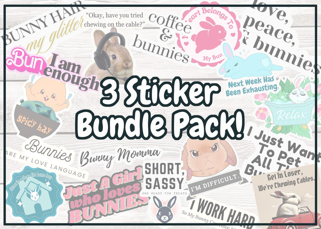 3 Pack Bunny Sticker, Laptop Water Bottle Luggage Waterproof Sticker, House Rabbit Cute Funny Sticker, Gifts for Bunny Lovers, Decal