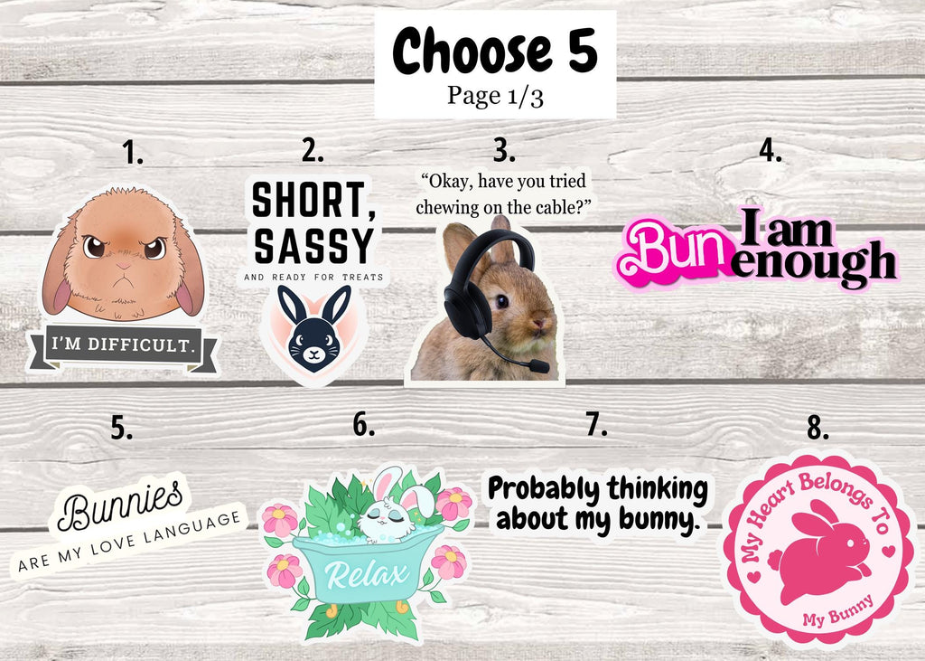 3 Pack Bunny Sticker, Laptop Water Bottle Luggage Waterproof Sticker, House Rabbit Cute Funny Sticker, Gifts for Bunny Lovers, Decal