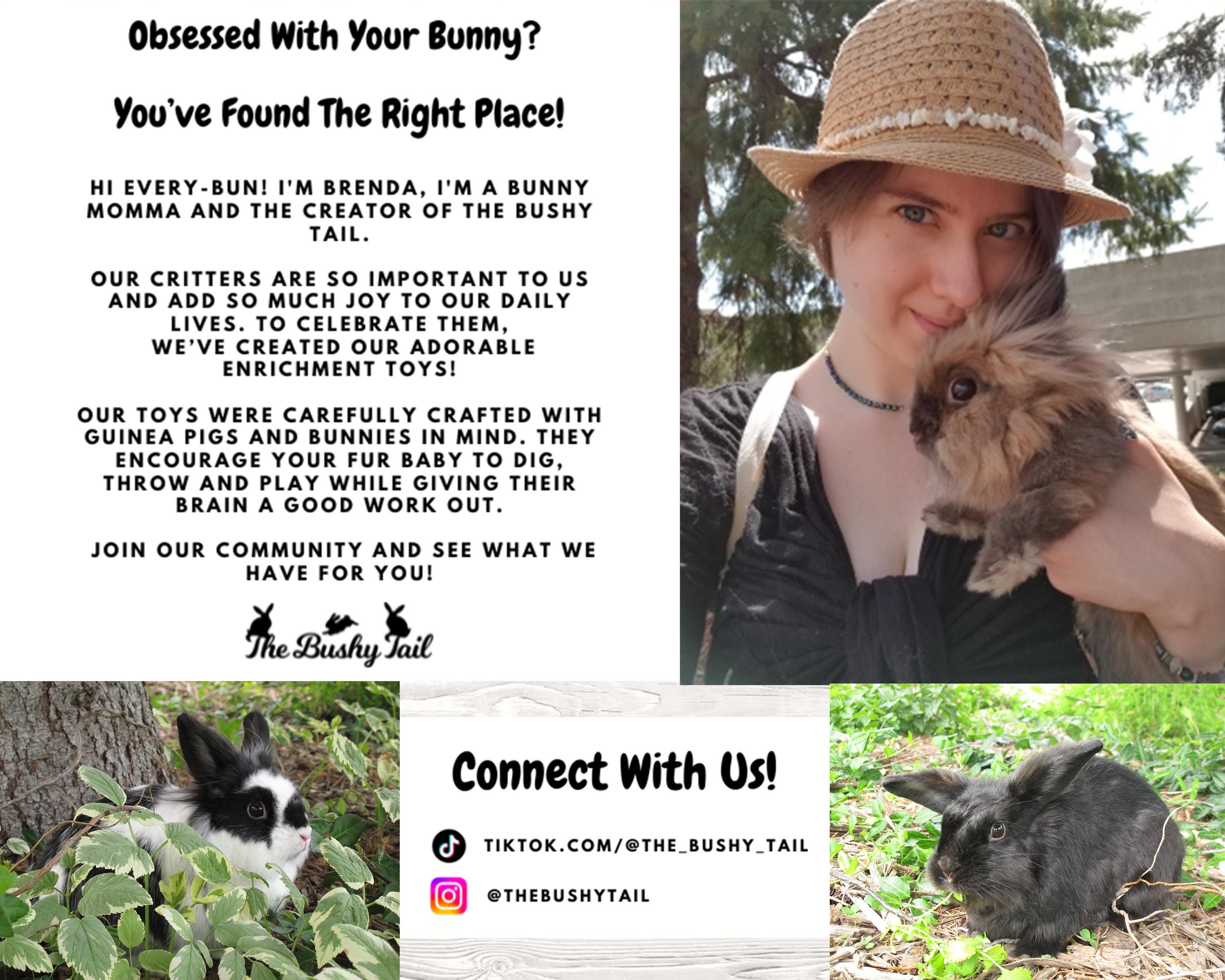 Bunny Momma Sticker: Waterproof Laptop Decal, Gift for Rabbit Lovers