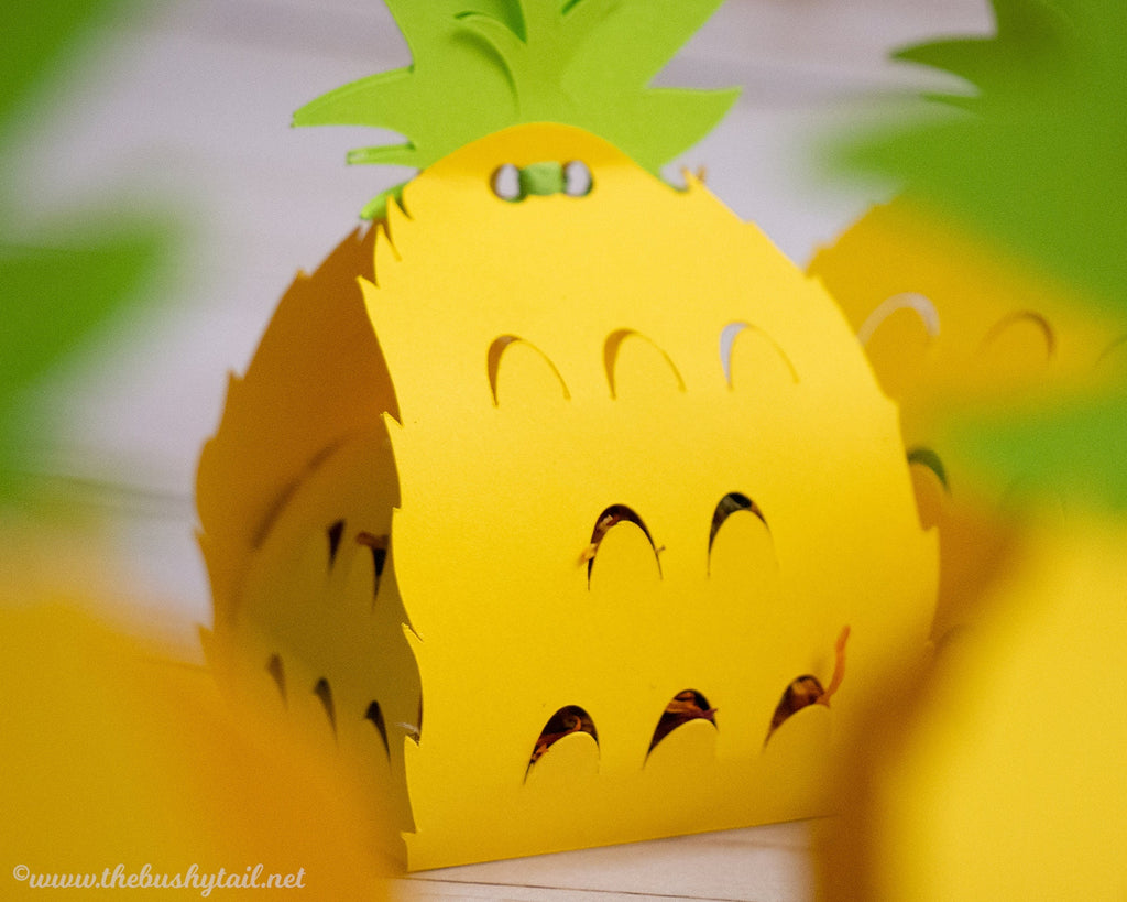 Pineapple Foraging Toys - 5 Pack of Tropical Chews for Rabbits & Guinea Pigs