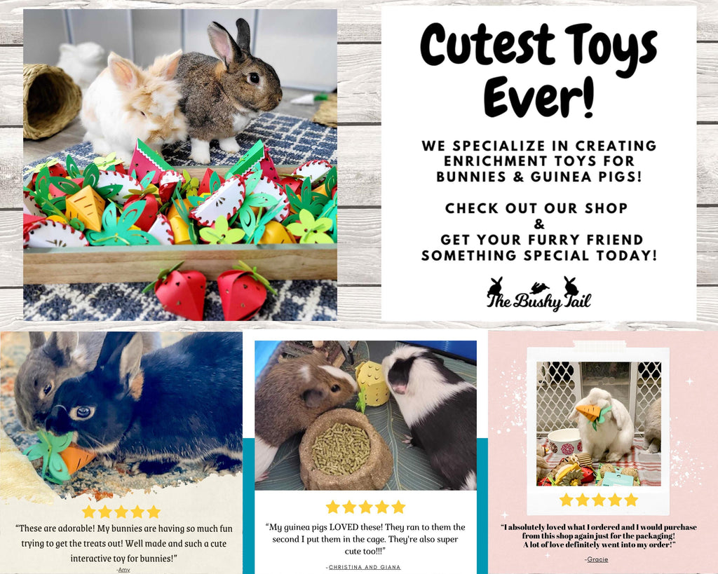 Apple Slice Foraging Toys - 3 Pack of Natural Rabbit & Guinea Pig Enrichment Treats