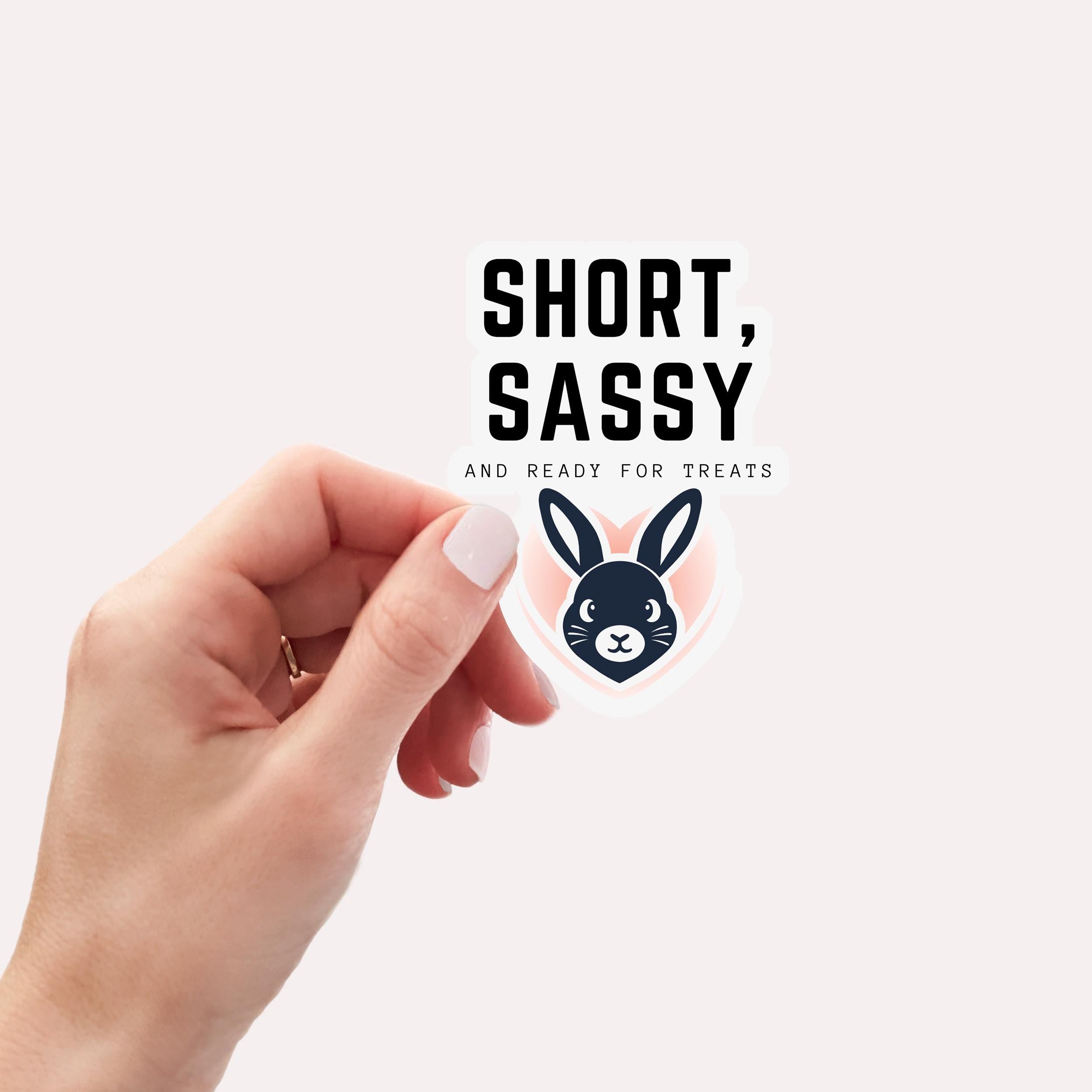 Sassy Bunny Sticker: Waterproof Laptop Decal, Gifts for Rabbit Lovers