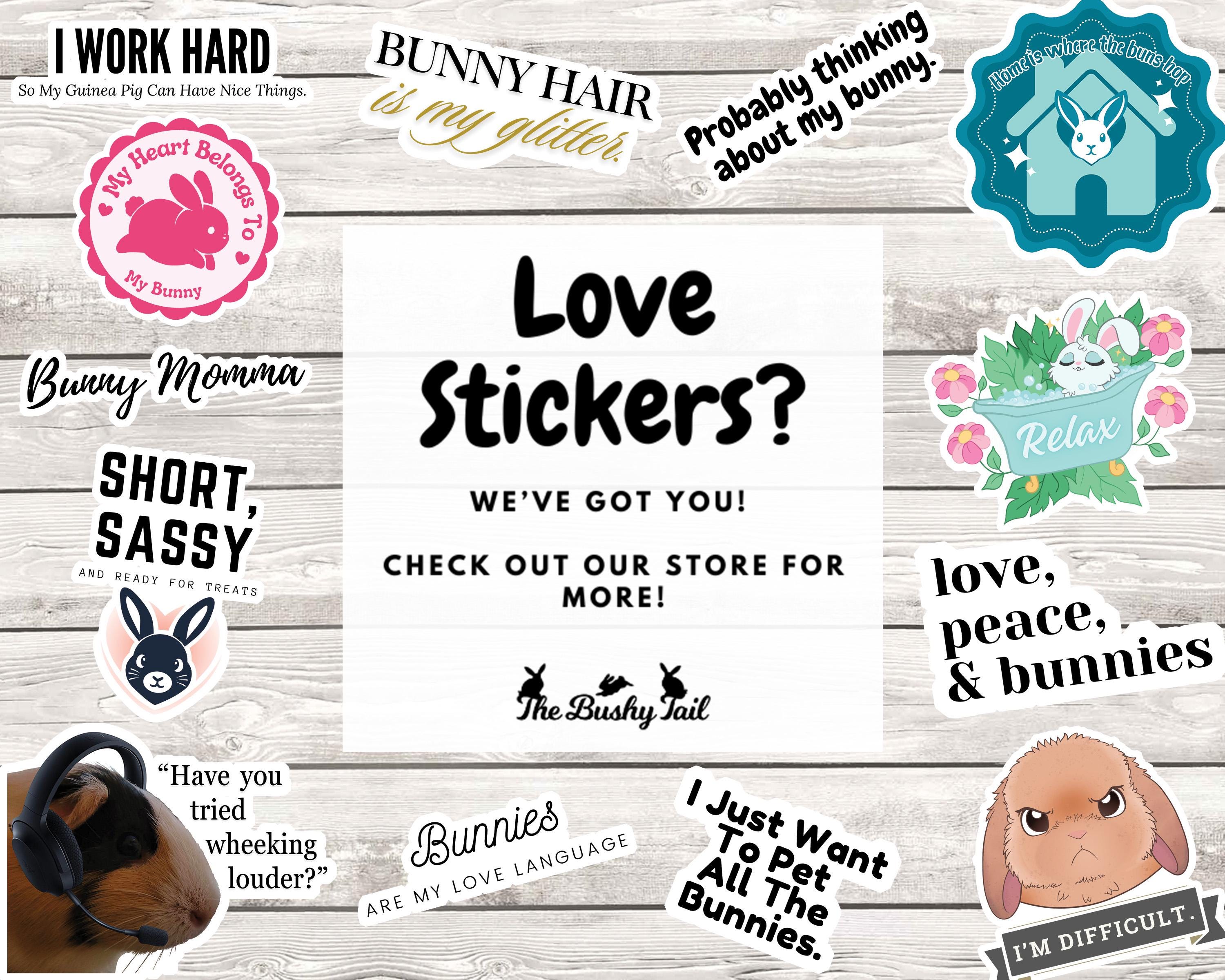 Home Is Where The Bun Hops Bunny Sticker: Waterproof Glossy Decal for Laptop, Water Bottle